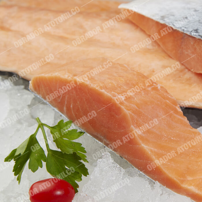 obrador-atotonilco-salmon